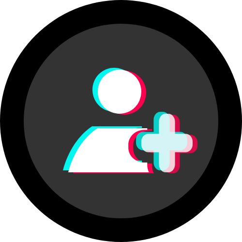 100 SEGUIDORES TIKTOK