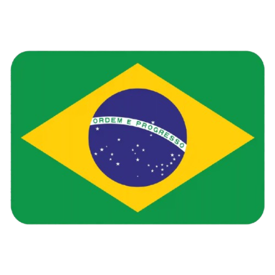 500 SEGUIDORES BRASILEIROS
